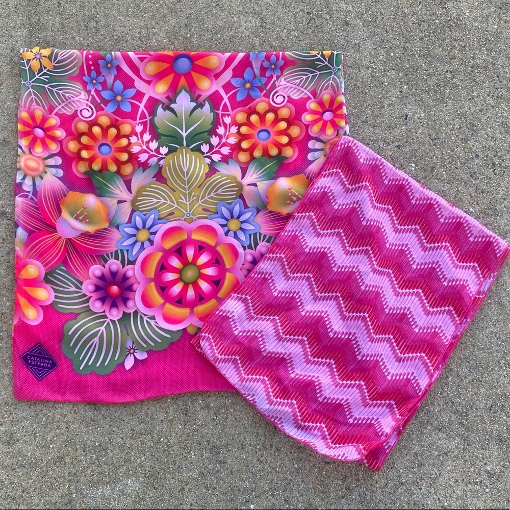 Hallmark Catalina Estrada Floral Scarf with bonus Greenbrier Intl. Chevron Scarf